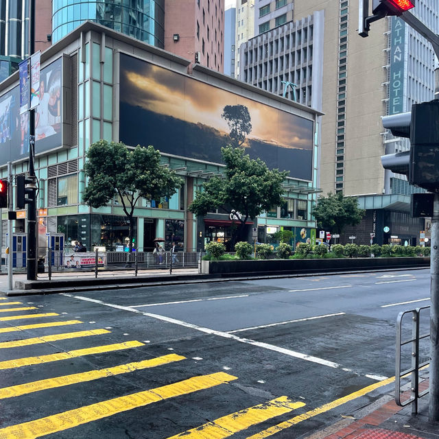 Victoria Harbour 🚢🏞️🏢