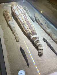 Kom Ombo Crocodile Museum: Sobek’s Retirement Home
