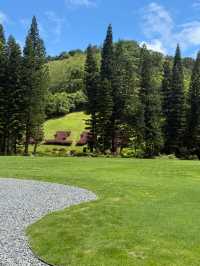 Fairy Lake Botanical Garden 🌺 🍃 