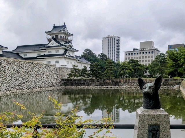 富山 | 富山城&城跡公園，瞭解富山鄉土歷史的好去處
