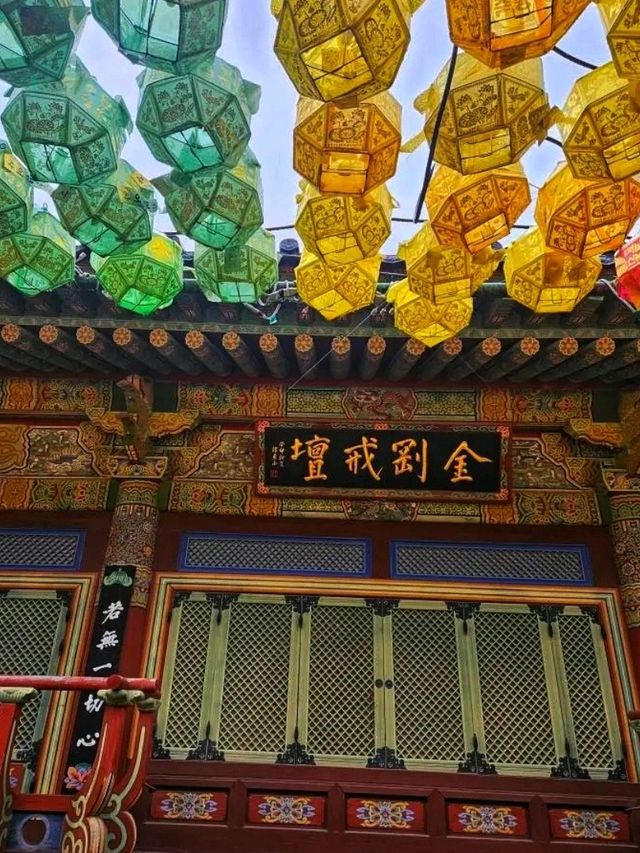 Peace & Mountains at Beomeosa Temple, Busan 