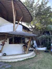 Balii