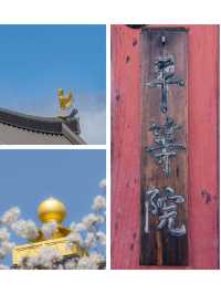 宇治 – 平等院鳳凰堂