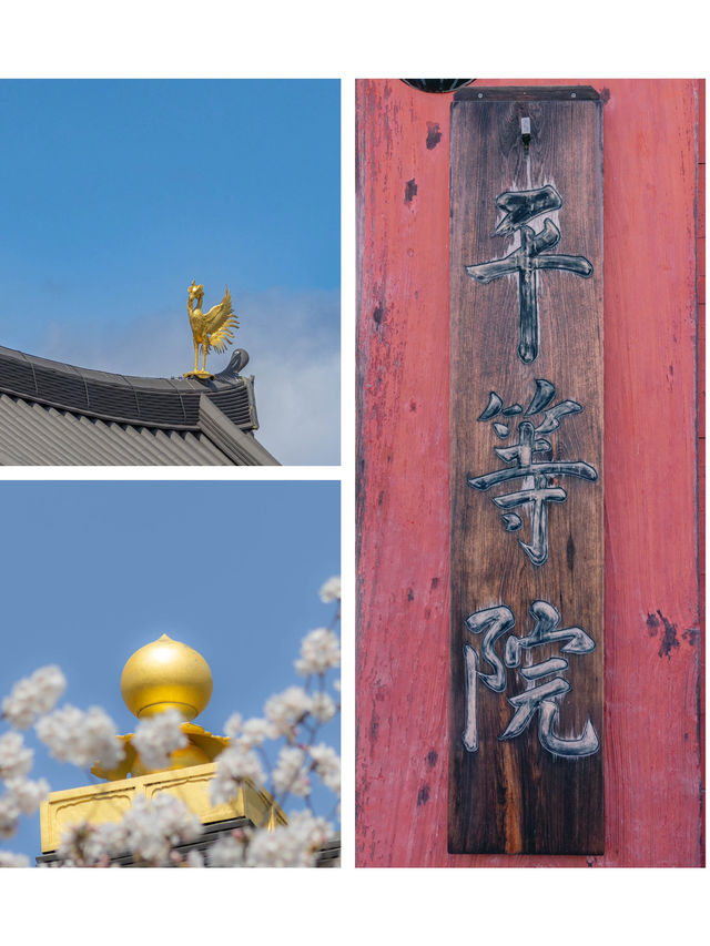 宇治 – 平等院鳳凰堂