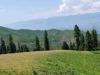 Nalati Sky Grassland · Aerial Cable Car Odyssey