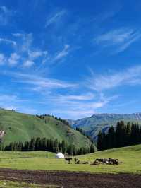 A Horseback Journey to Fairy Lake