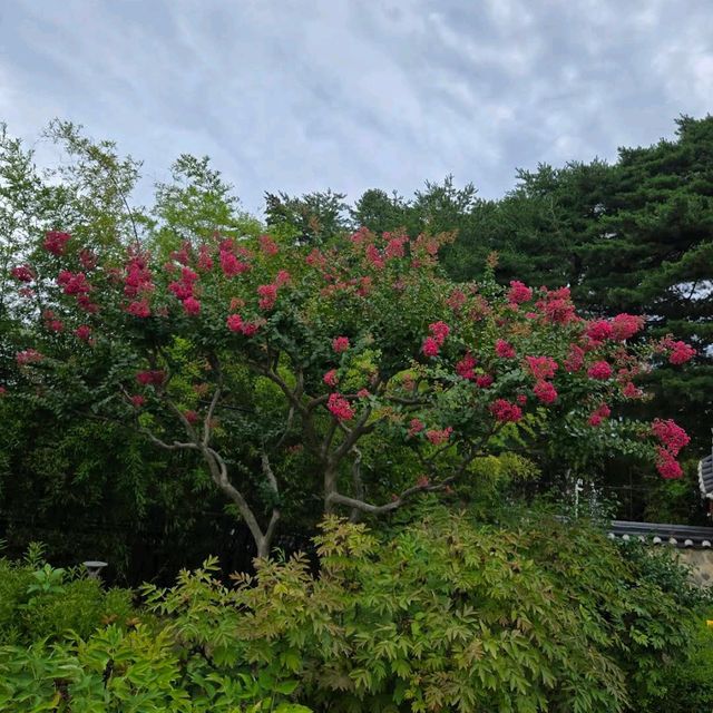 오죽헌 (강릉)