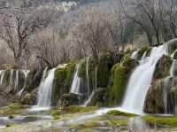 Aqua Terror: Jiuzhaigou’s Liquid Jade Insurgency