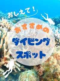 求む！初心者でも潜りやすいおすすめのダイビングスポット！
