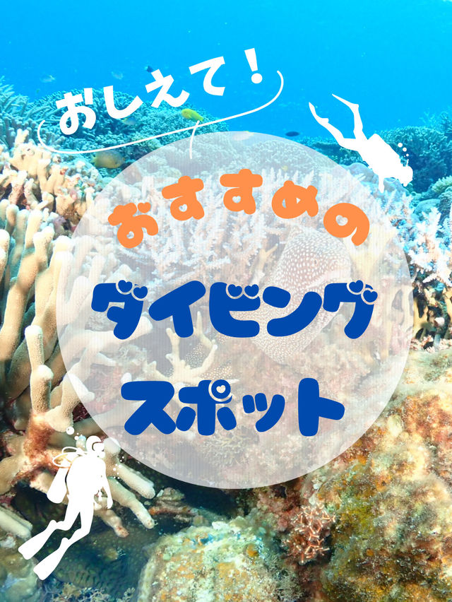 求む！初心者でも潜りやすいおすすめのダイビングスポット！