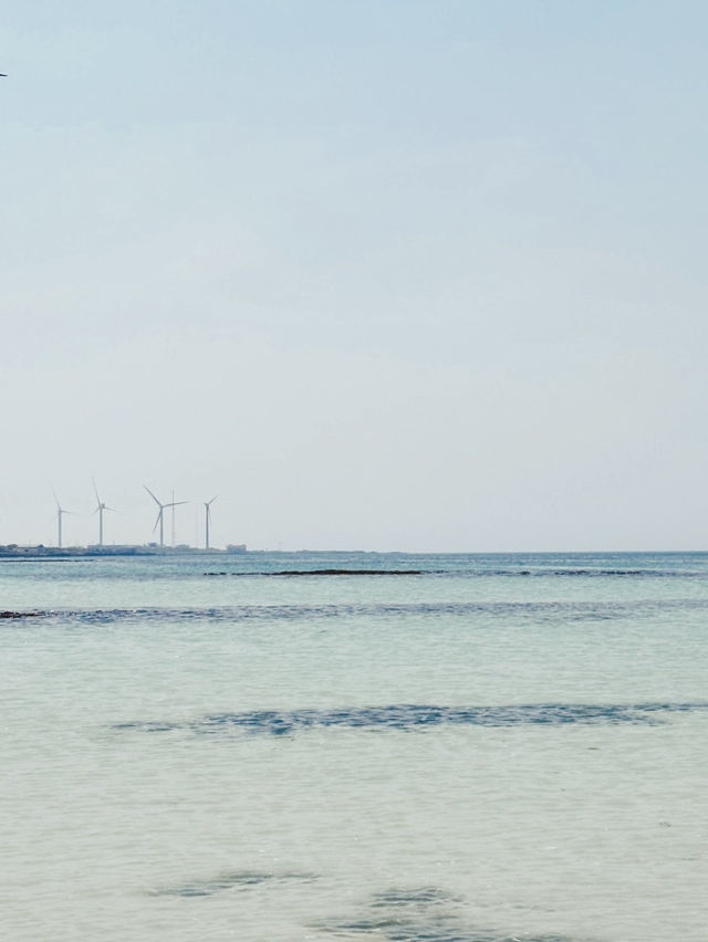 A Photographer's Canvas of Serene and Industrial Beauty