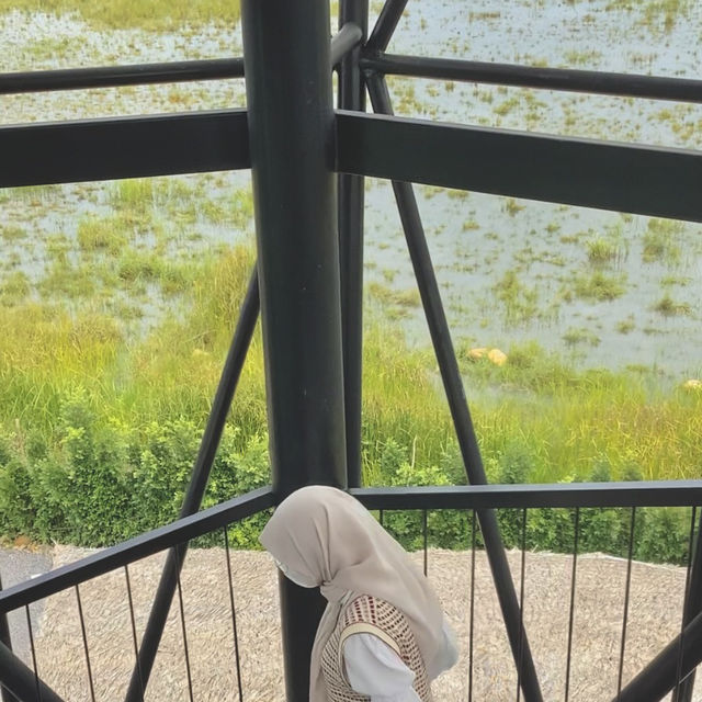 🌿 SeaVerse Cafe & Restaurant - หาดใหญ่
