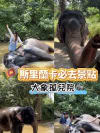 斯里蘭卡必去景點 🐘