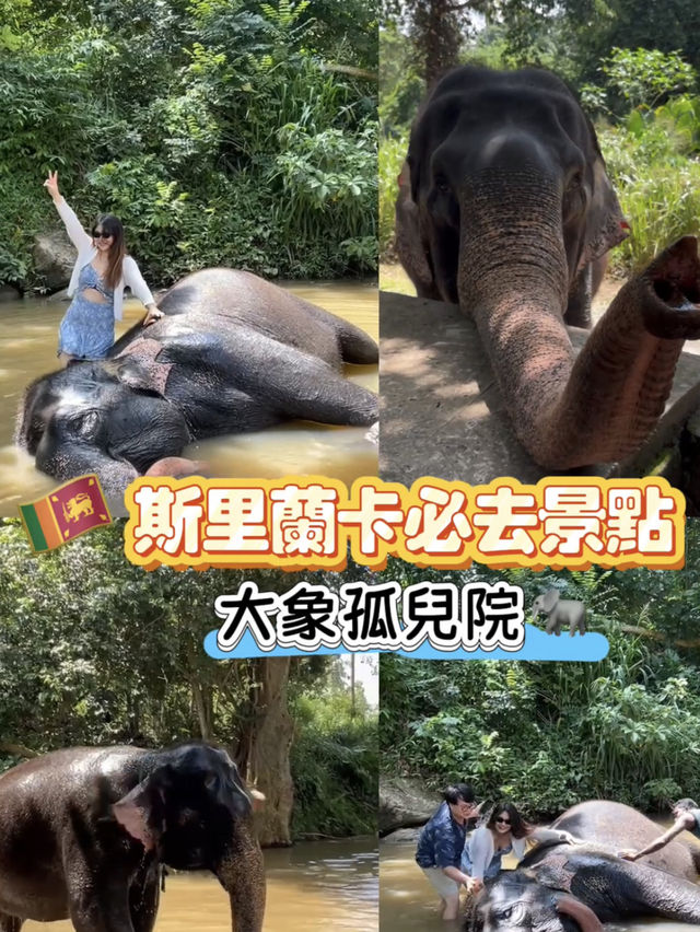 斯里蘭卡必去景點 🐘