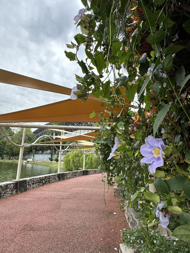 What Locals Love: Why Taman Tasik Permaisuri is a Must-Visit in Cheras
