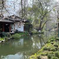 🌅 West Lake (西湖): A Grand Stage of Nature and Culture