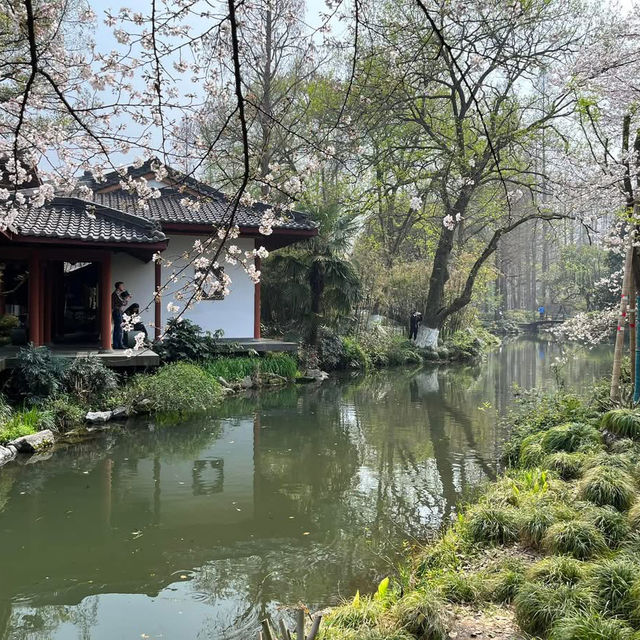 🌅 West Lake (西湖): A Grand Stage of Nature and Culture