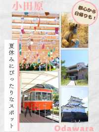 【小田原】都心からアクセス⭕️夏休みにもぴったり！気ままな観光🌻