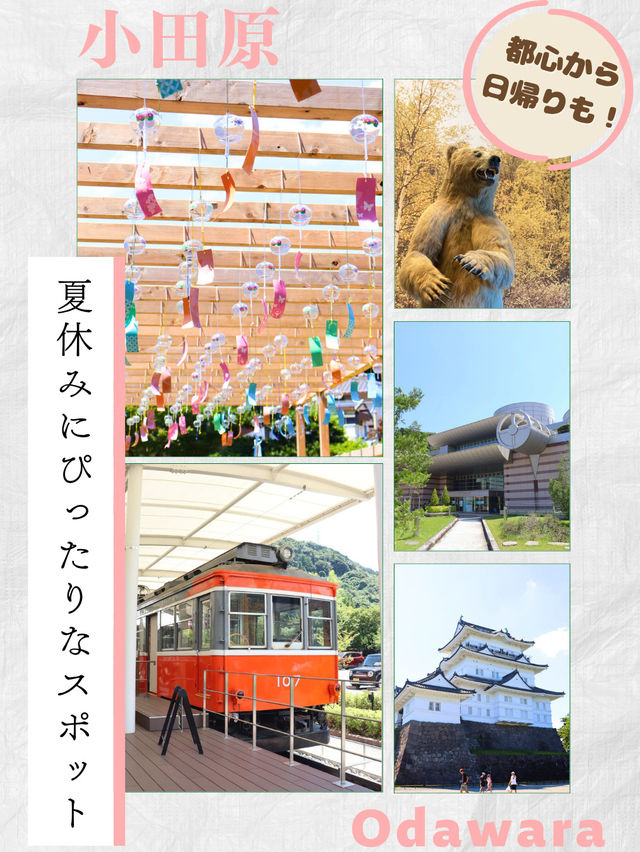 【小田原】都心からアクセス⭕️夏休みにもぴったり！気ままな観光🌻