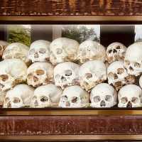 🕊️ "Facing History: A Solemn Visit to Choeung Ek Memorial