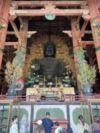 Magic, Streets & Shrines: From Osaka to Kyoto via Nara