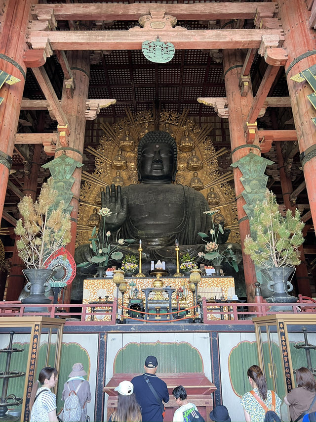 Magic, Streets & Shrines: From Osaka to Kyoto via Nara