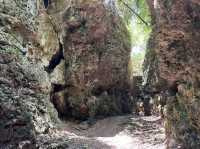 Panlong Gorge Gave Jungle Vibes and Slippery Surprises