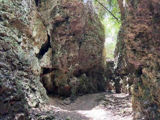 Panlong Gorge Gave Jungle Vibes and Slippery Surprises