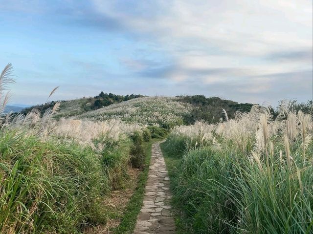 Experience the Tranquil Beauty of Qingtiangang Grassland