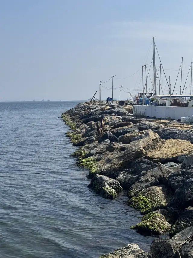 The Serene Islands Floating on the Bosphorus