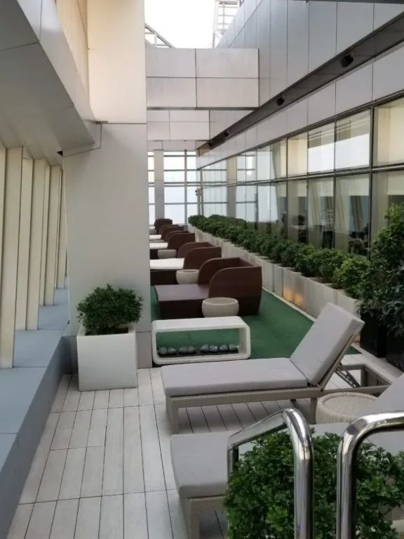 【雲の上から都会を望む！】リッツカールトン香港の魅力