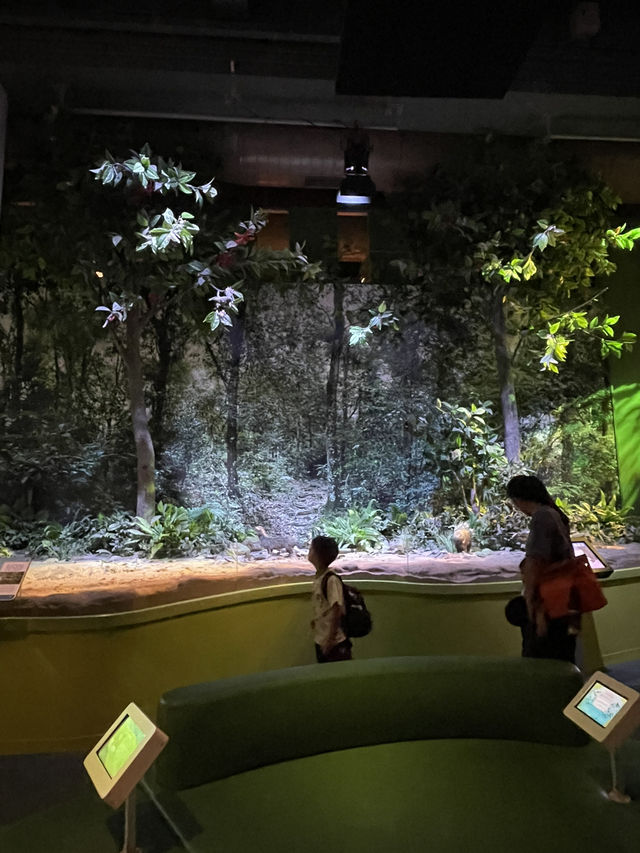 🇭🇰 Paleontology Gallery in Hong Kong Science Museum  🇭🇰 Paleontology Gallery in Hong Kong Science Museum