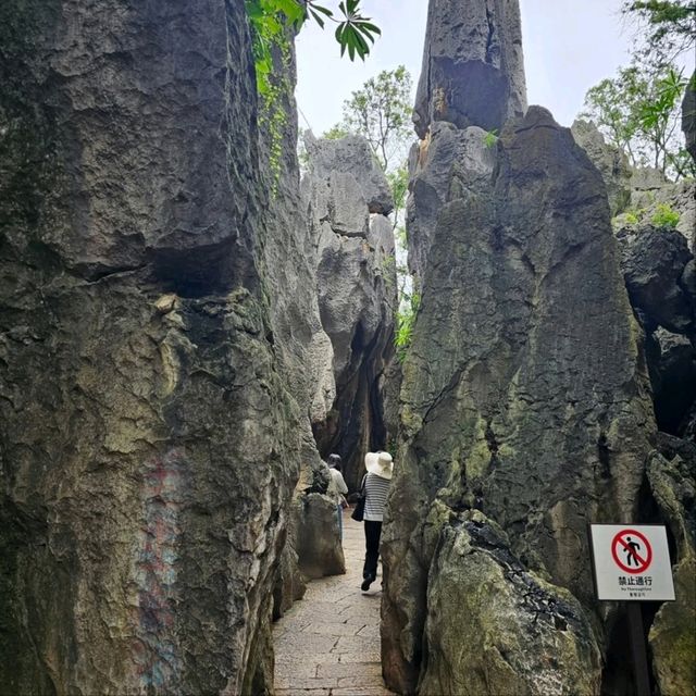 Getting Lost in the Wild Shapes of Shilin Stone Forest Getting Lost in the Wild Shapes of Shilin Stone Forest