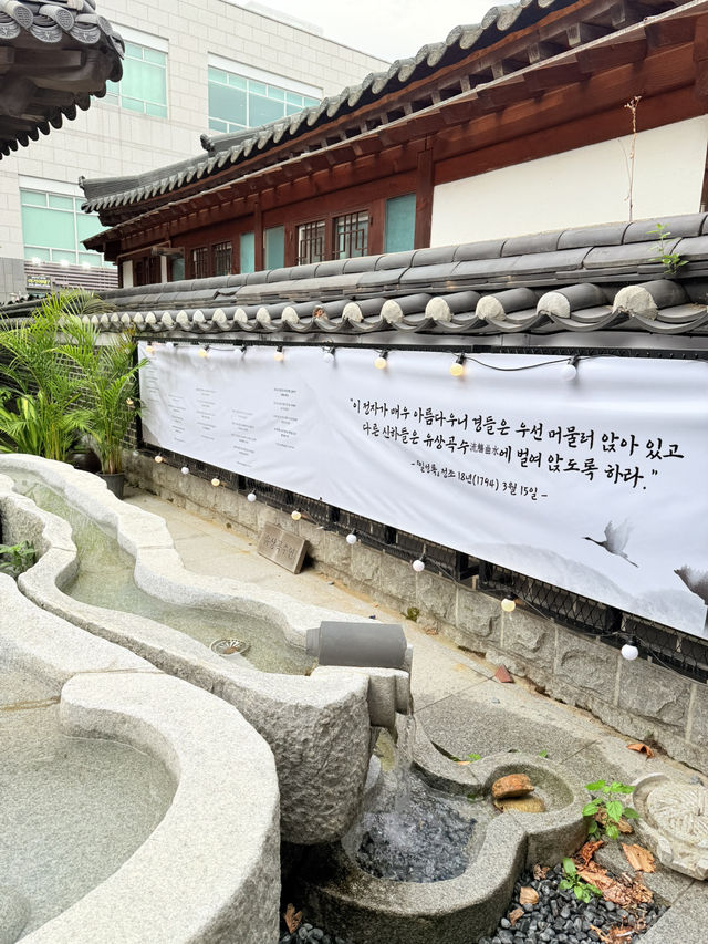 전통 술을 좋아한다면!?🤩🤩