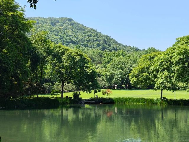 東灘濕地公園—綠化生境 東灘濕地公園—綠化生境