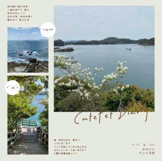 Dafangjiao Coastal Garden - Panoramic View