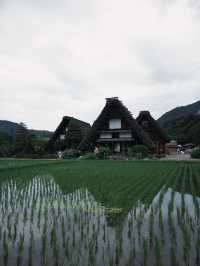 帶你走進日本夢幻鄉村「白川鄉」
