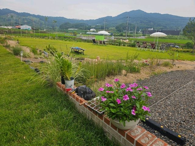 용인 히든 명소 동명서헌 북카페 거실 용인 히든 명소 동명서헌 북카페 거실