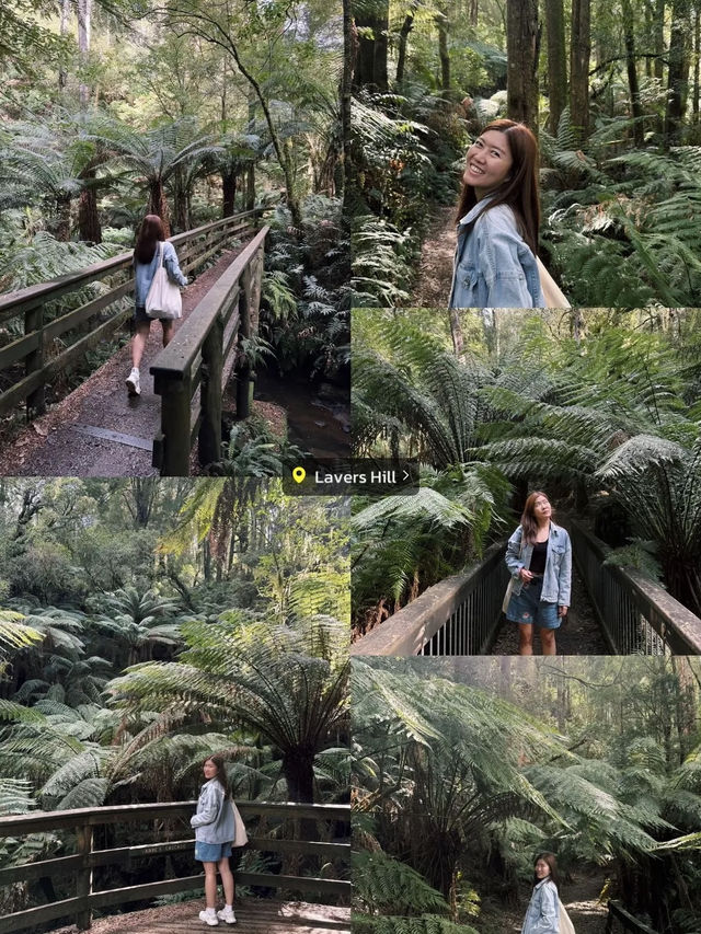 📸 จุดเช็คอินห้ามพลาดบนเส้นทาง Great Ocean Road