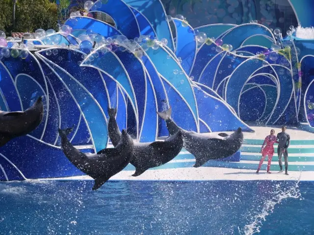 SeaWorld San Diego: A Perfect Destination for Families with Kids