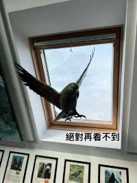 Book mark 宮崎駿服務中心，港女尖叫