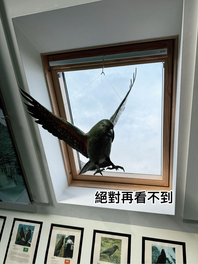 Book mark 宮崎駿服務中心，港女尖叫