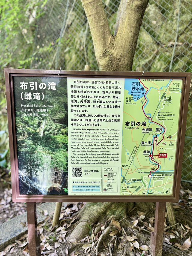 【兵庫 神戸】布引の滝