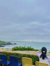 🌊 제주 해변 비교 후기 🌅 협재 vs 애월 vs 이호테우