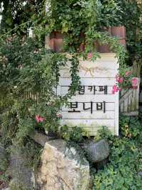 여기가 충남 공주 카페라고? 완전 그냥 제주도잖아!