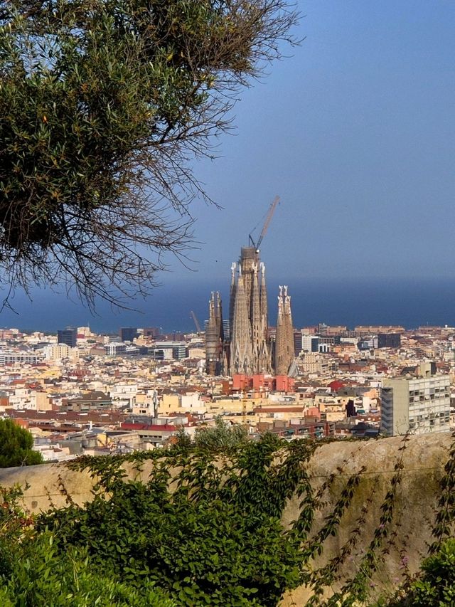 바르셀로나 시내를 구경할 수 있는 곳 : Casa Trias🇪🇸
