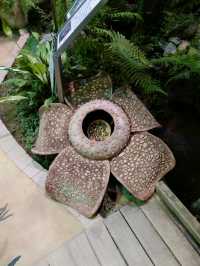 Shibuya Fureai Botanical Center