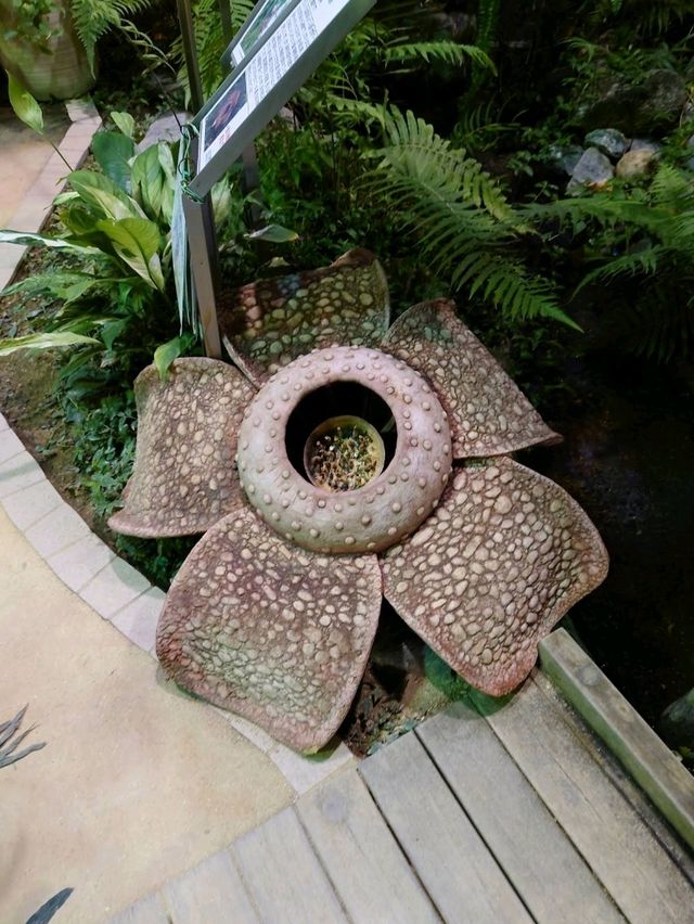 Shibuya Fureai Botanical Center