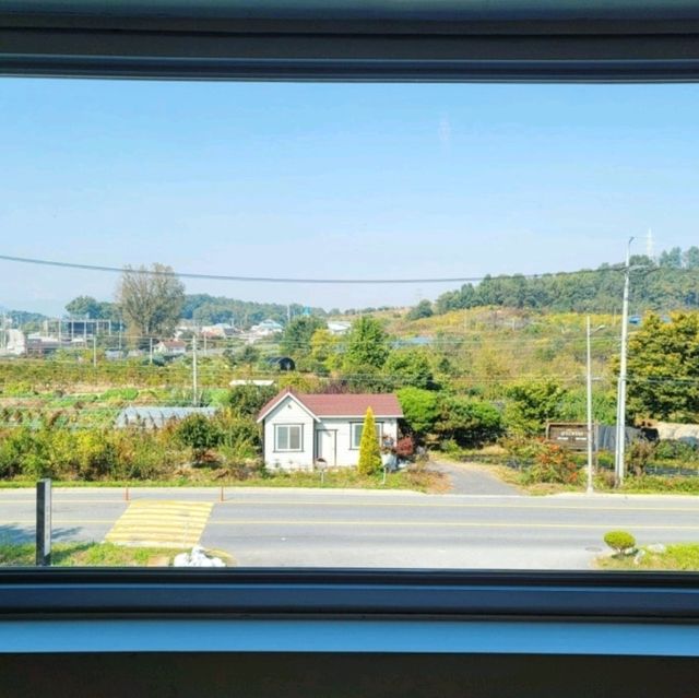 유성구 카페, 탑립커피☕