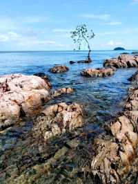 Barelang Ujung